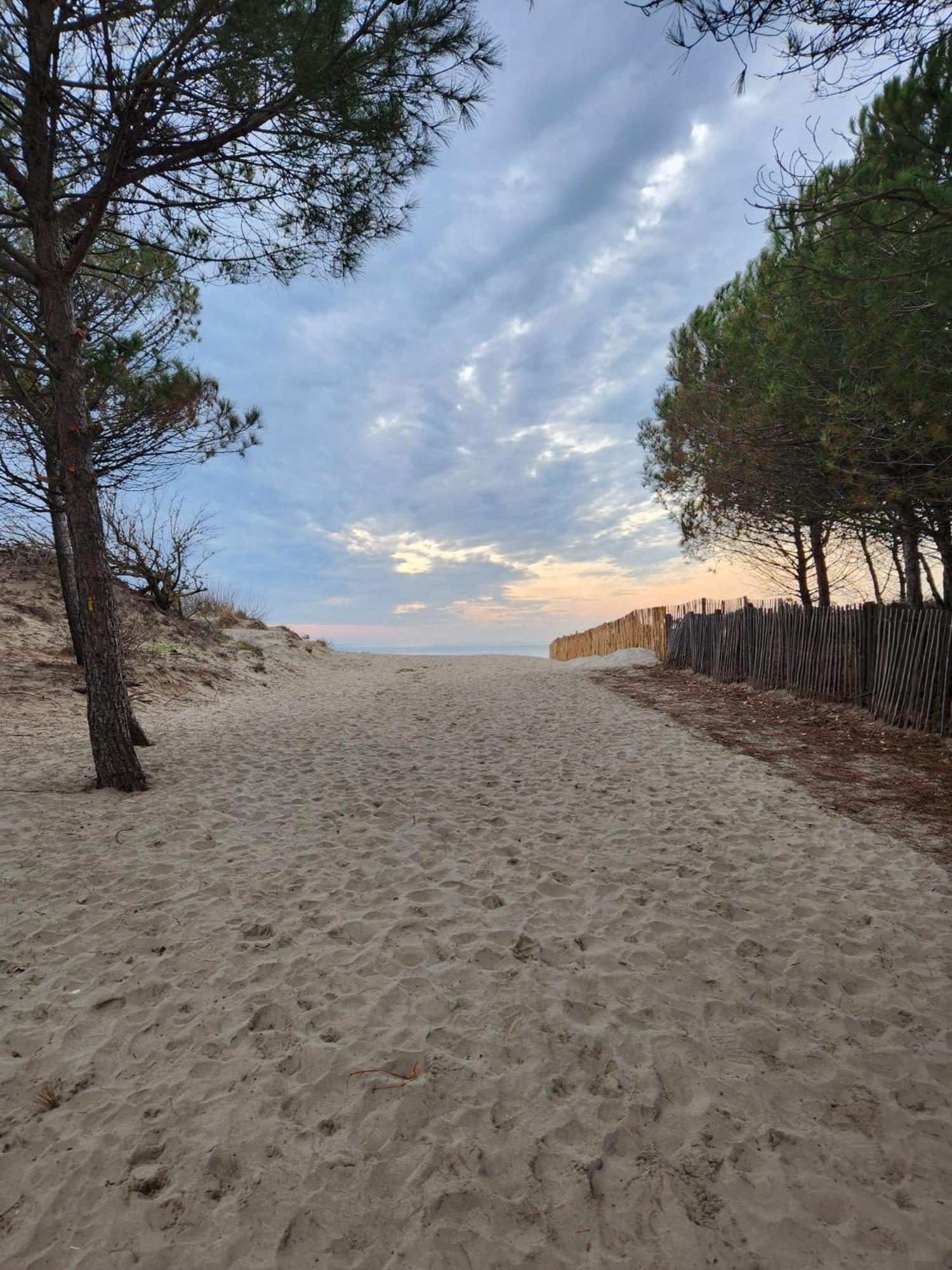 Le Peche Mignon - Appart 1 - Locationlatamarissiere Agde Exterior photo